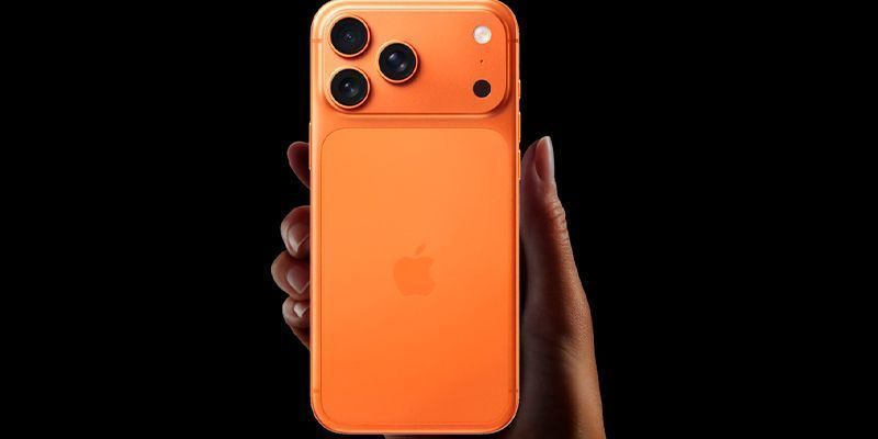 3939393.jpg